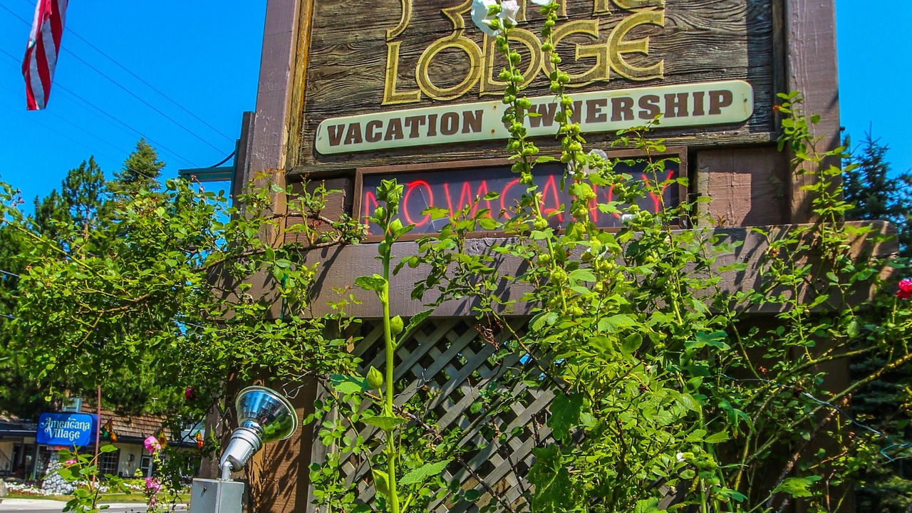 Photo of Outdoor in South Lake Tahoe