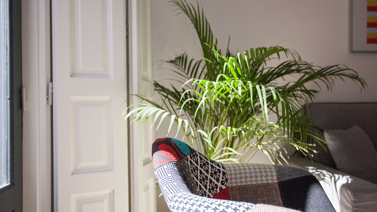 Photo of Livingroom in Malasana