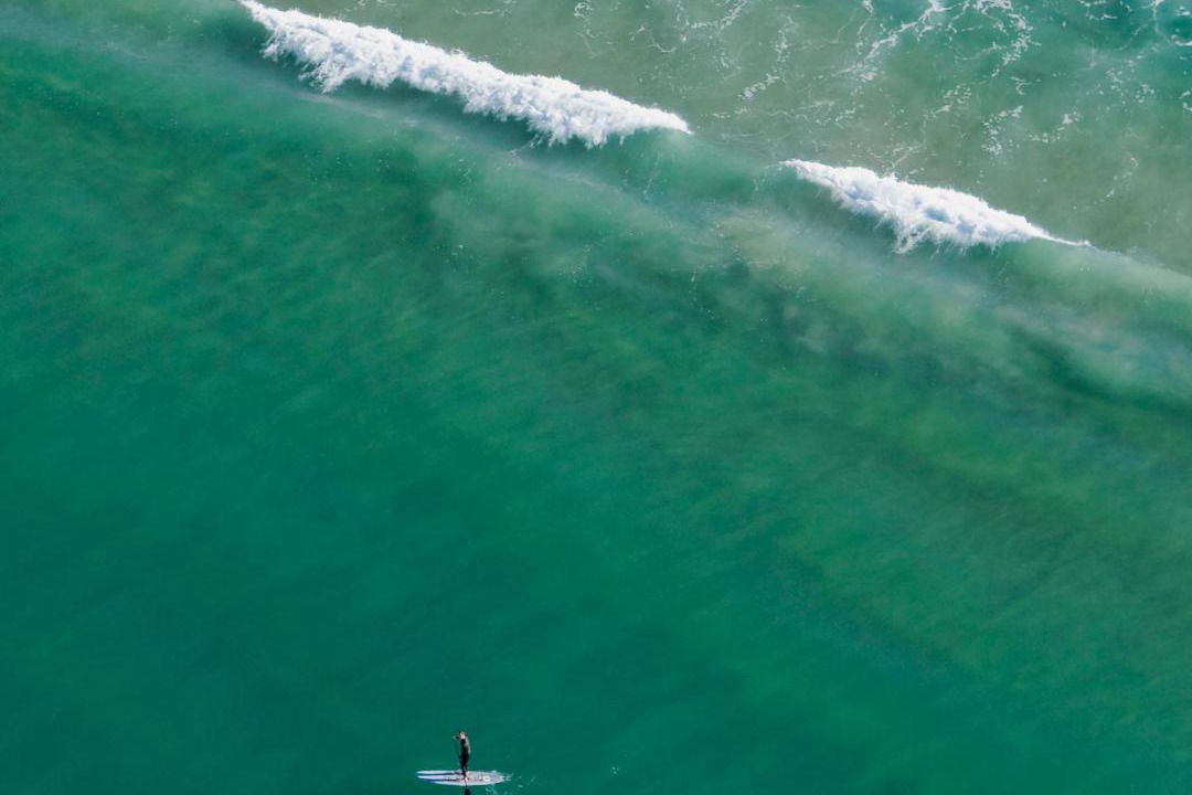 Photo of Others in Laguna Beach