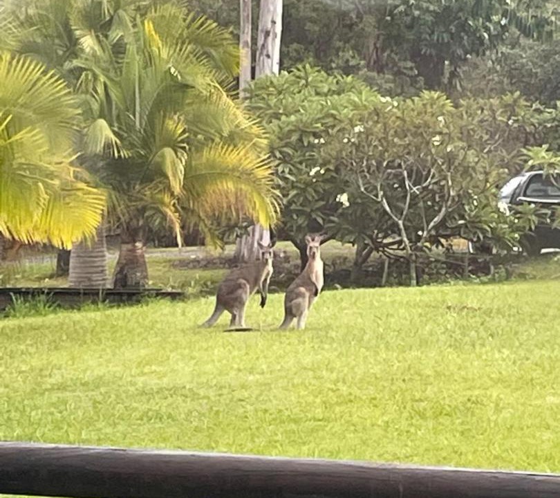 Photo of Others in Landsborough