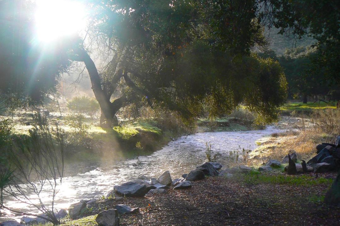 Photo of Outdoor in Lincoln Acres