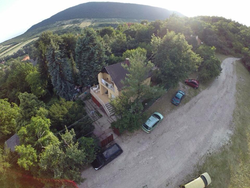 Photo of Others in Szentendrei