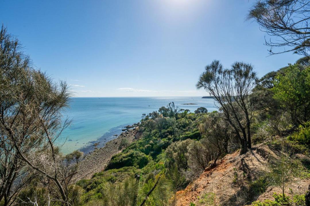 Photo of Others in Mornington Peninsula