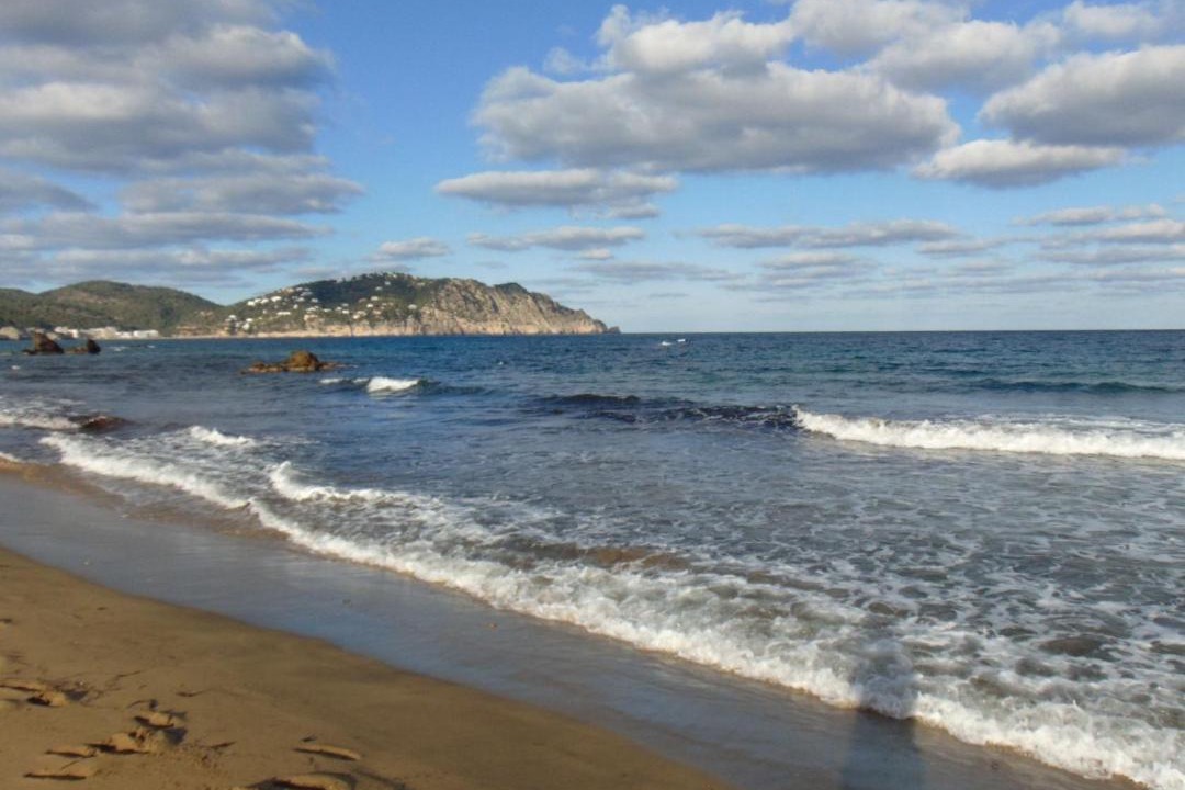 Photo of Others in Es Figueral Beach