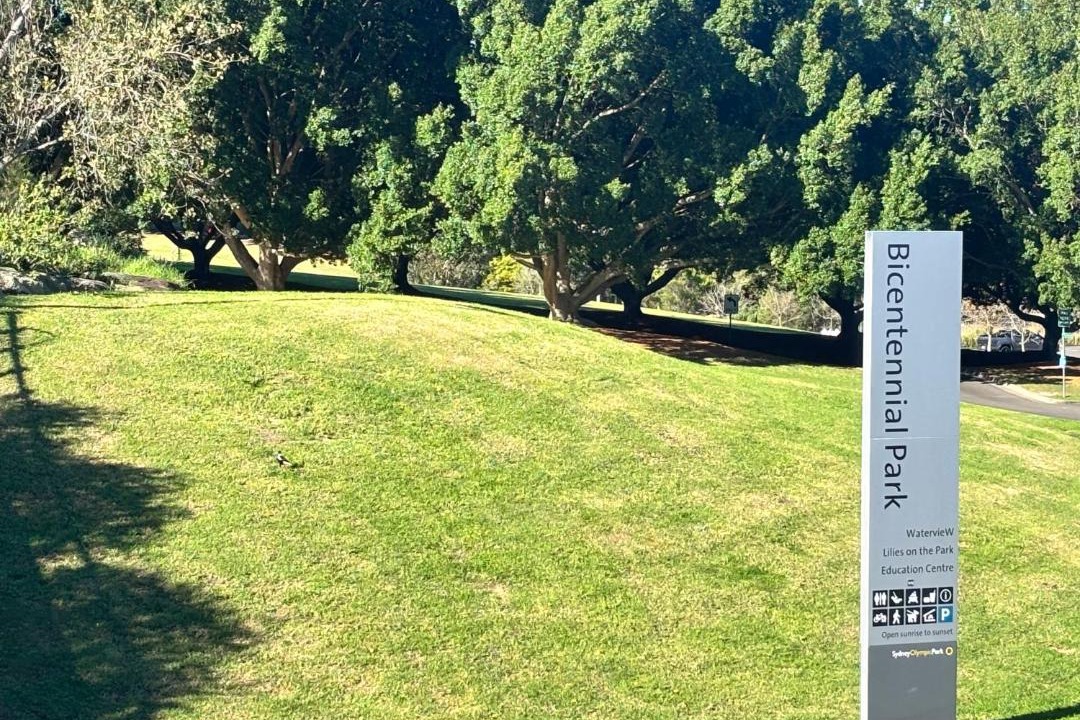 Photo of Others in Sydney Olympic Park