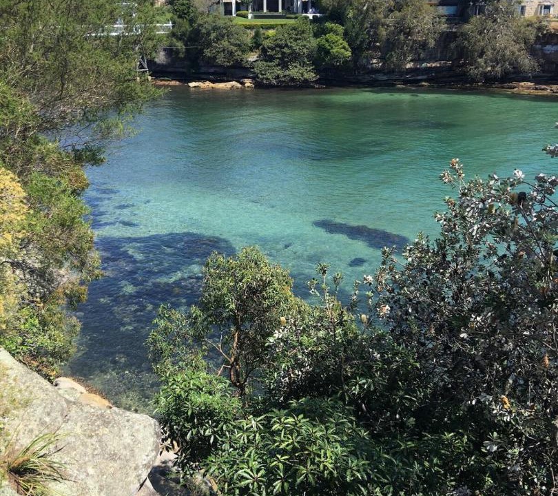 Photo of Others in Vaucluse