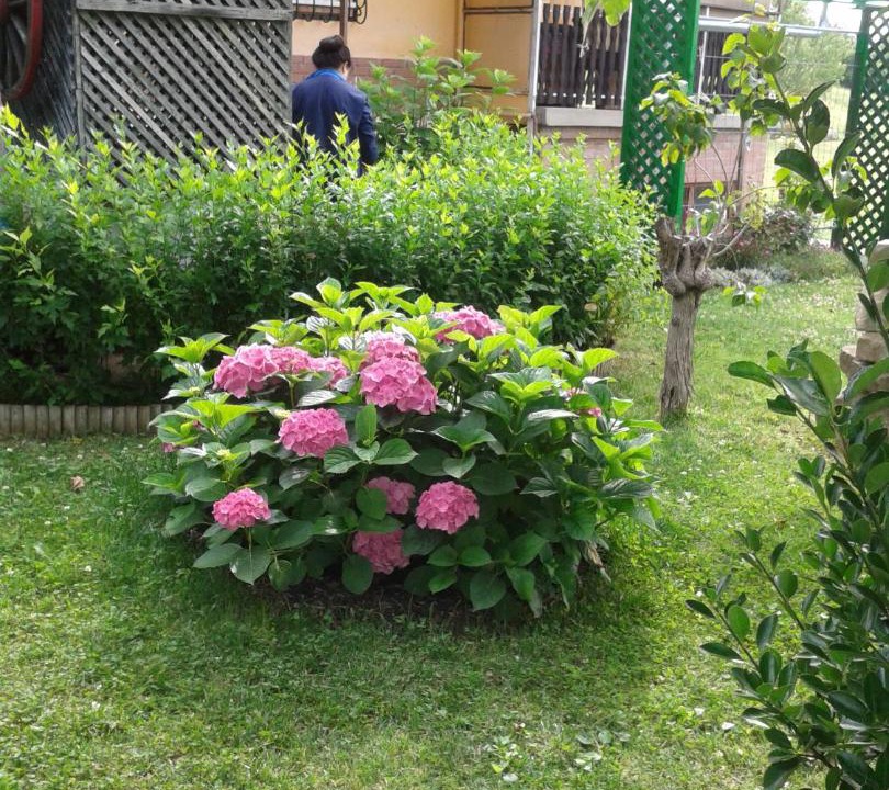 Photo of Others in Vac