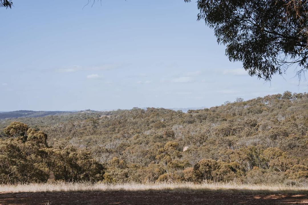 Photo of Others in Tallarook