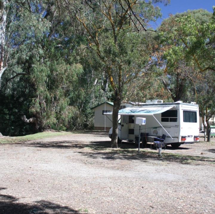 Photo of Others in Seymour