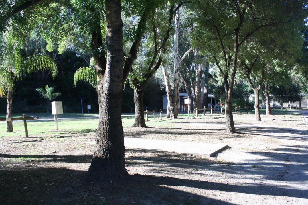 Photo of Others in Seymour