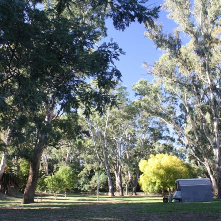 Photo of Others in Seymour