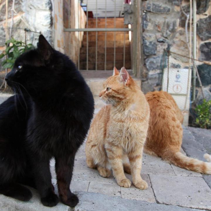 Photo of Outdoor in Adalar