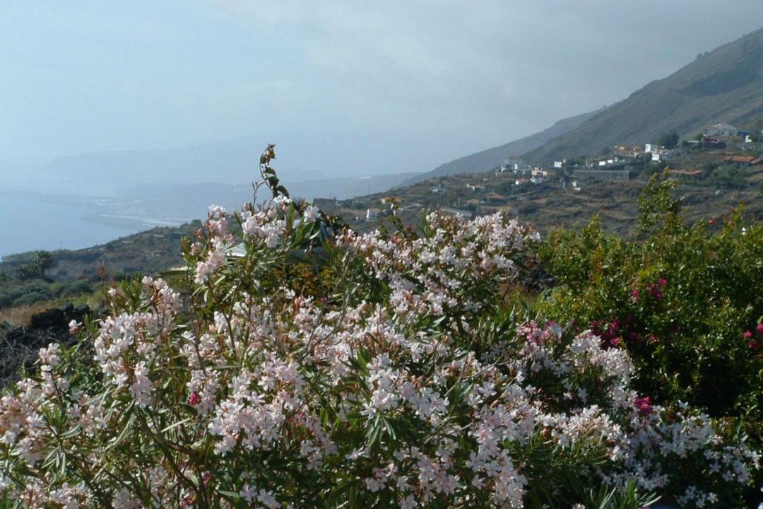 Photo of Outdoor in Los Quemados