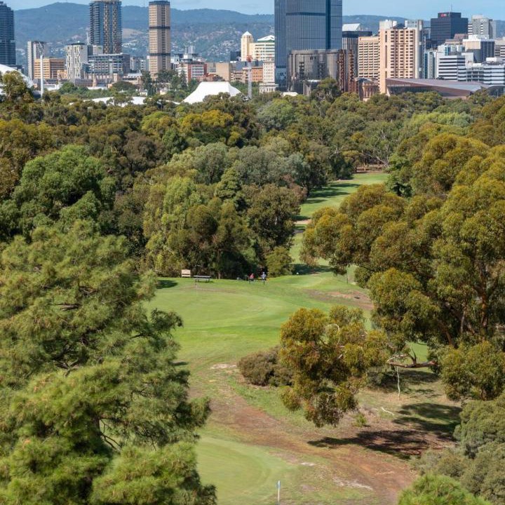 Photo of Others in North Adelaide