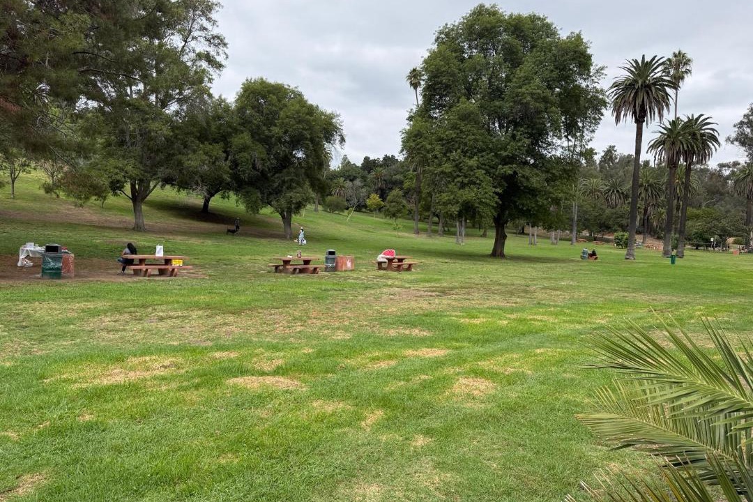 Photo of Others in Elysian Heights