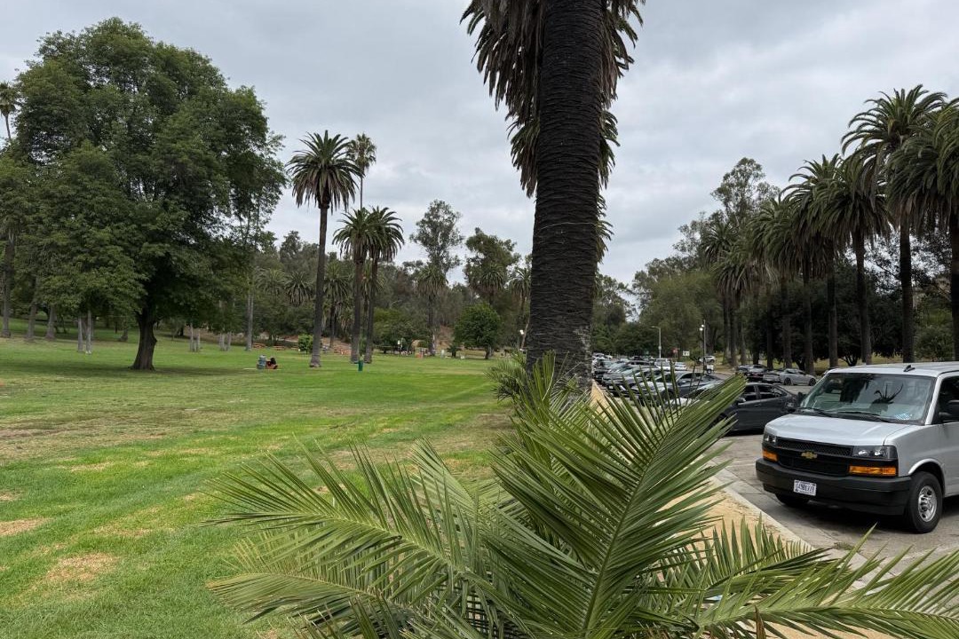 Photo of Others in Elysian Heights