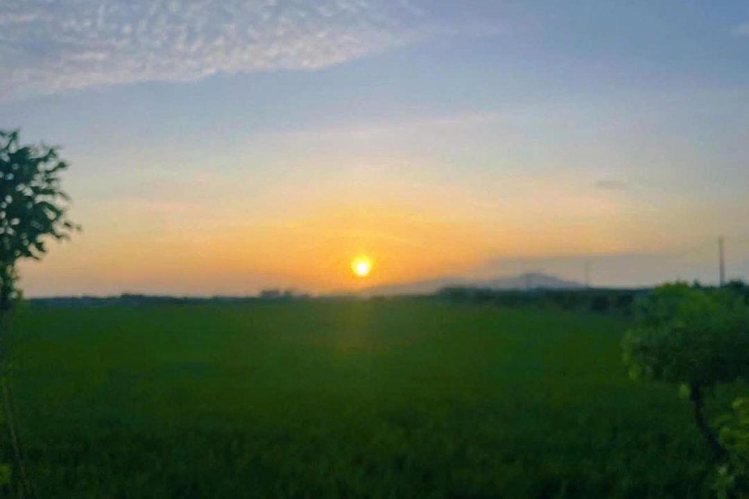 Photo of Others in Long Dien