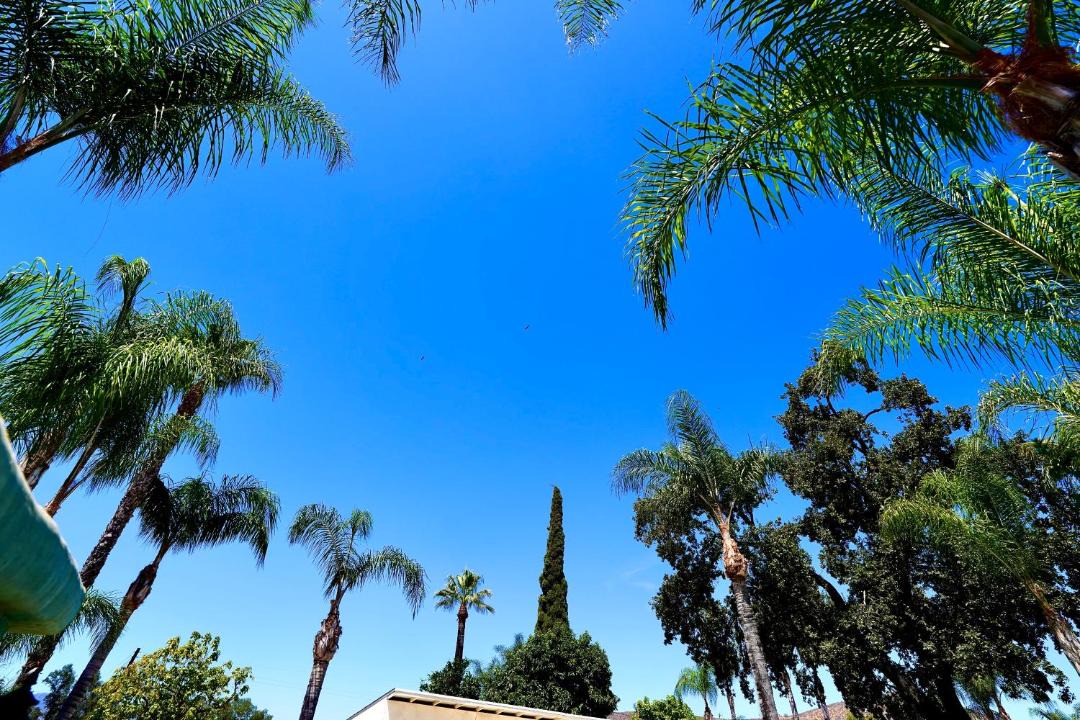Photo of Others in Lake Elsinore