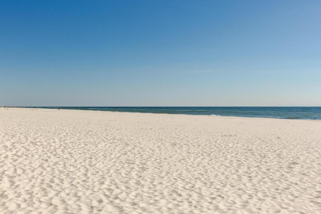 Photo of Others in Orange Beach East