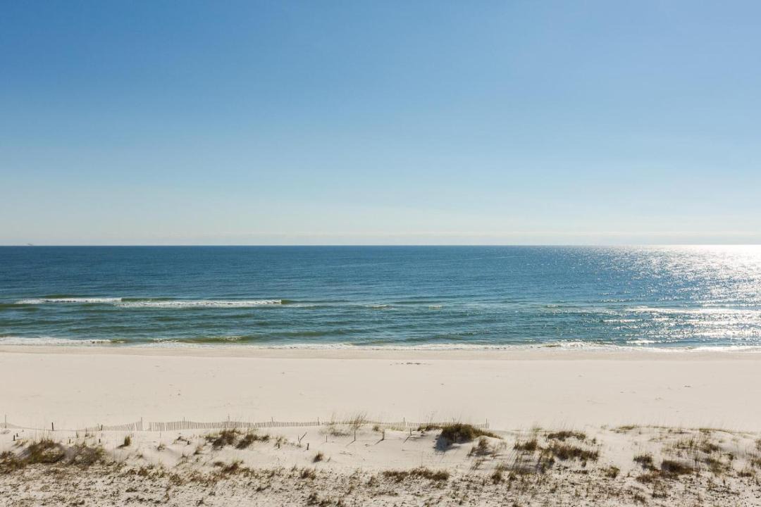Photo of Others in Orange Beach East