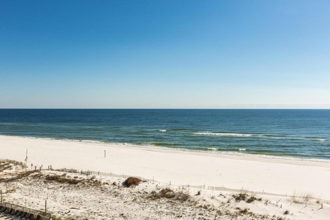 Photo of Others in Orange Beach East