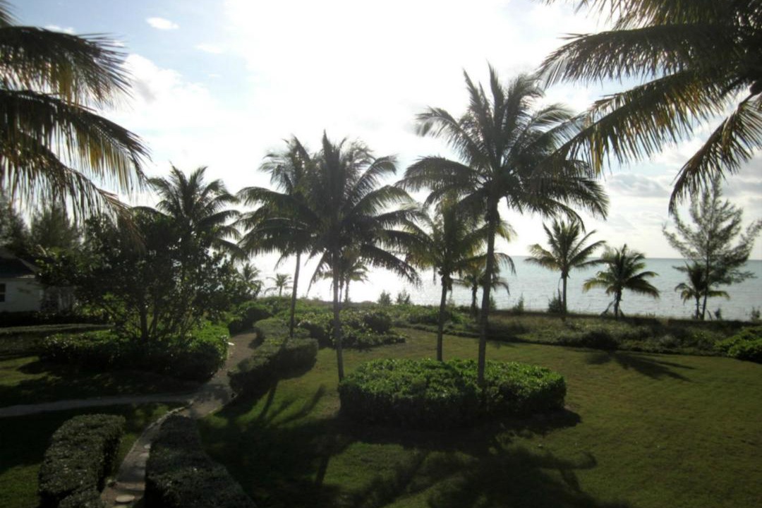 Photo of Others in Freeport