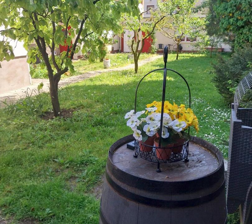 Photo of Others in Szolnok