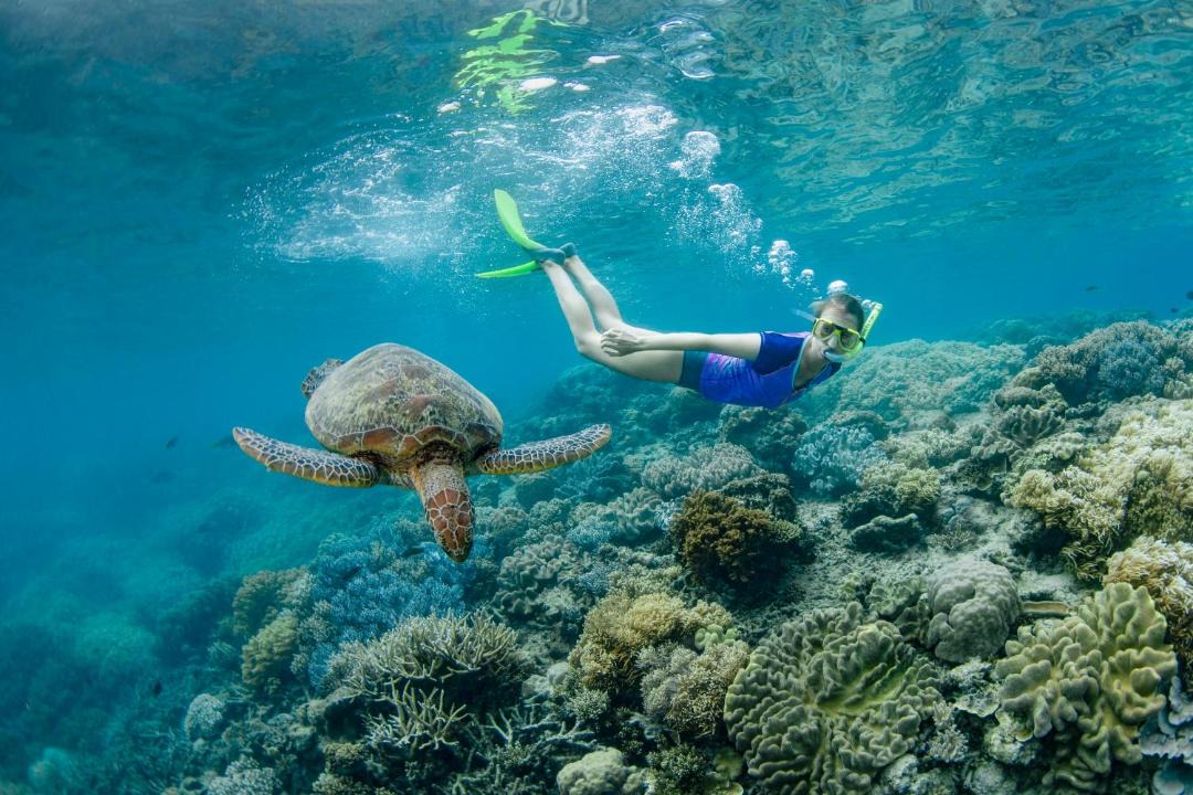 Photo of Others in Airlie Beach