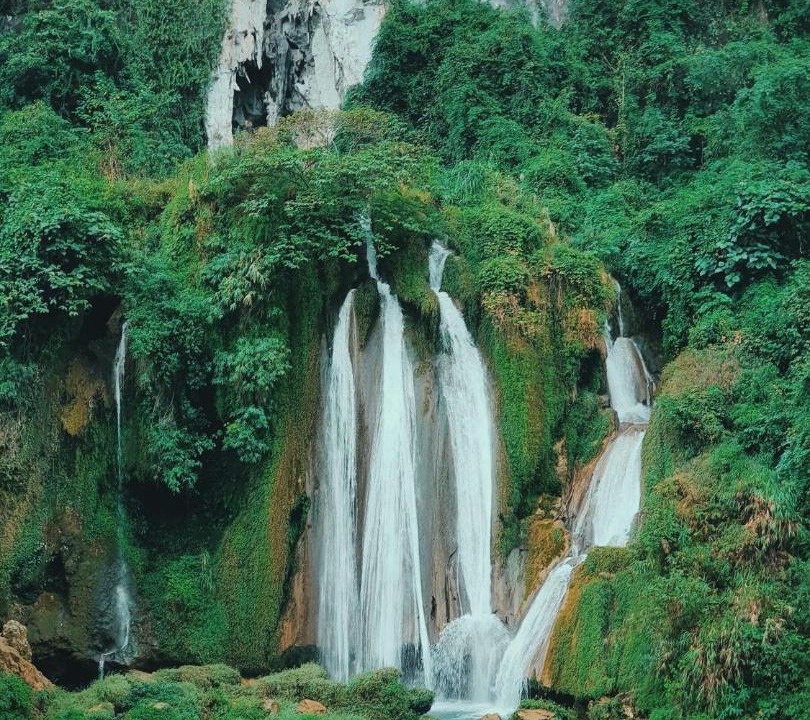 Photo of Others in Yen Minh