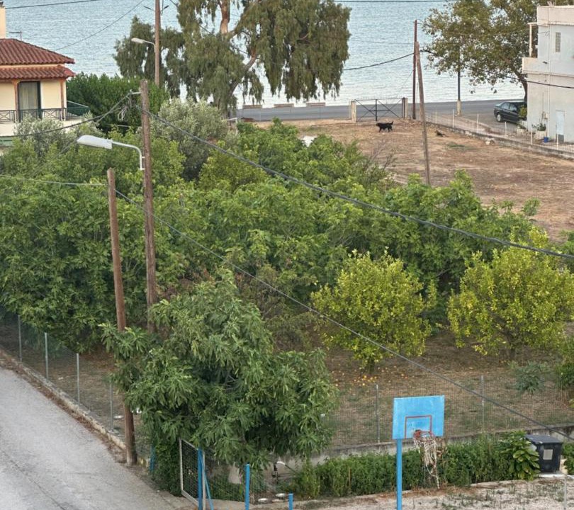 Photo of Others in Mili