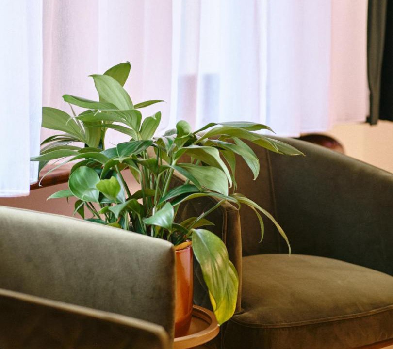 Photo of Livingroom in Chicoutimi