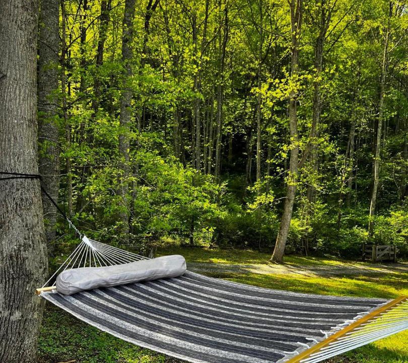 Photo of Outdoor in Sylva