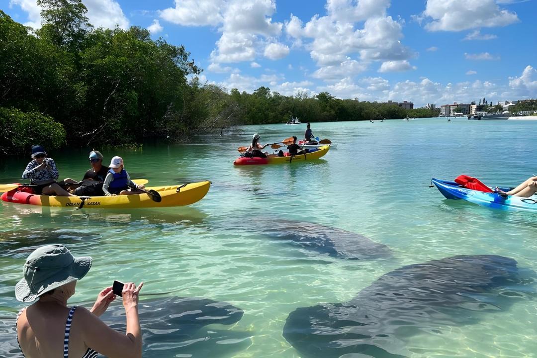 Photo of Others in Gulf Harbor