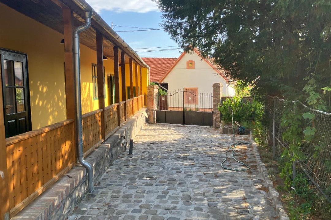 Photo of Others in Szentendrei