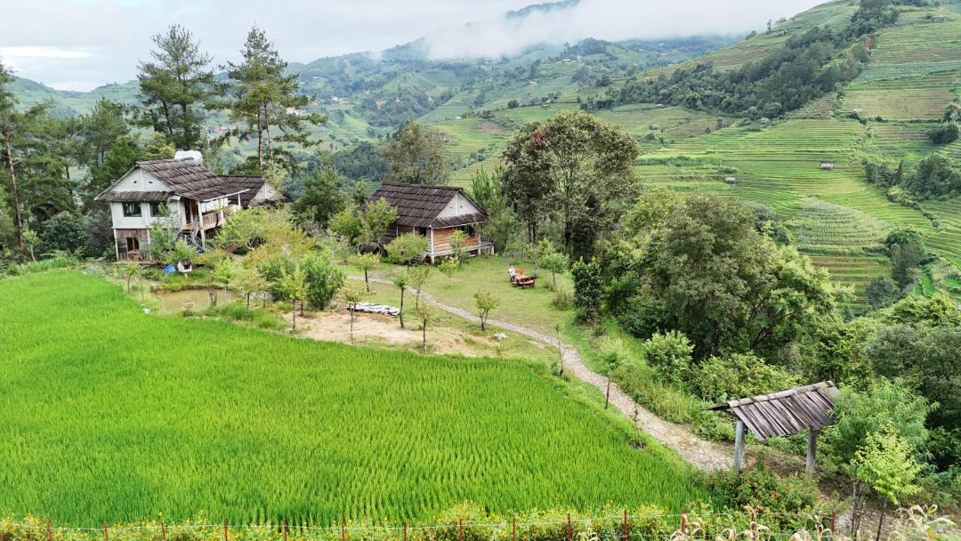 Photo of Others in Mu Cang Chai
