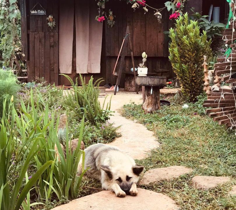 Photo of Others in Di Linh
