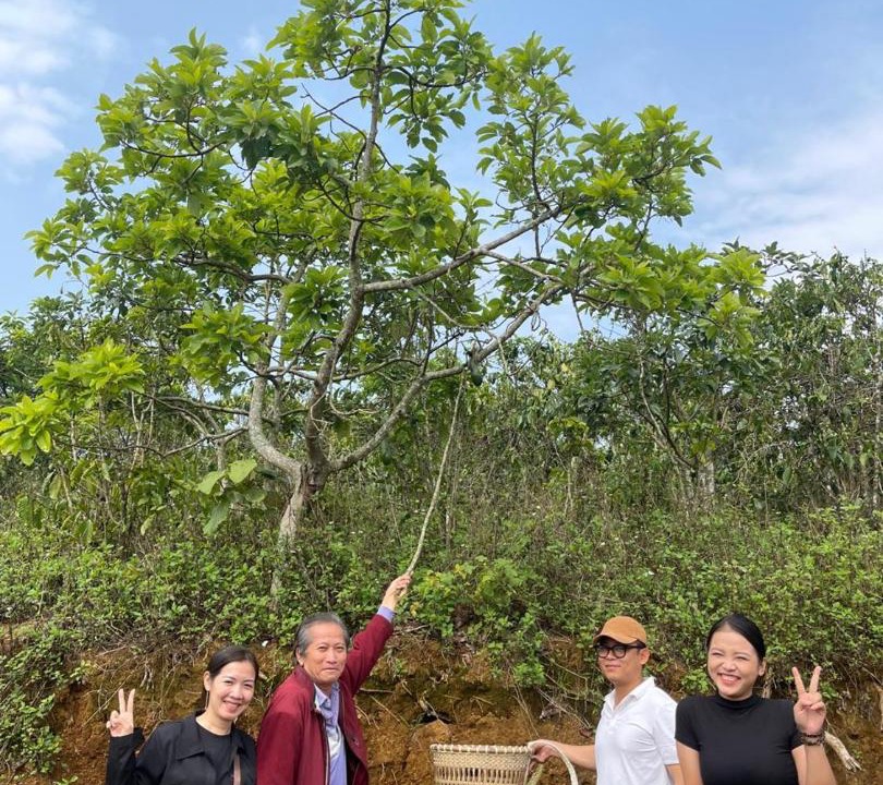 Photo of Outdoor in Bao Loc