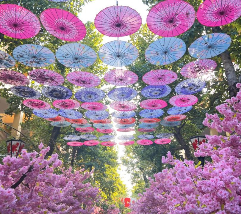 Photo of Others in Thanh Thuy