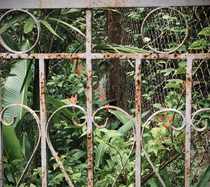 Photo of Others in Chau Thanh