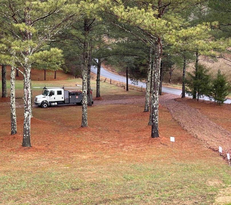 Photo of Others in Silver Creek
