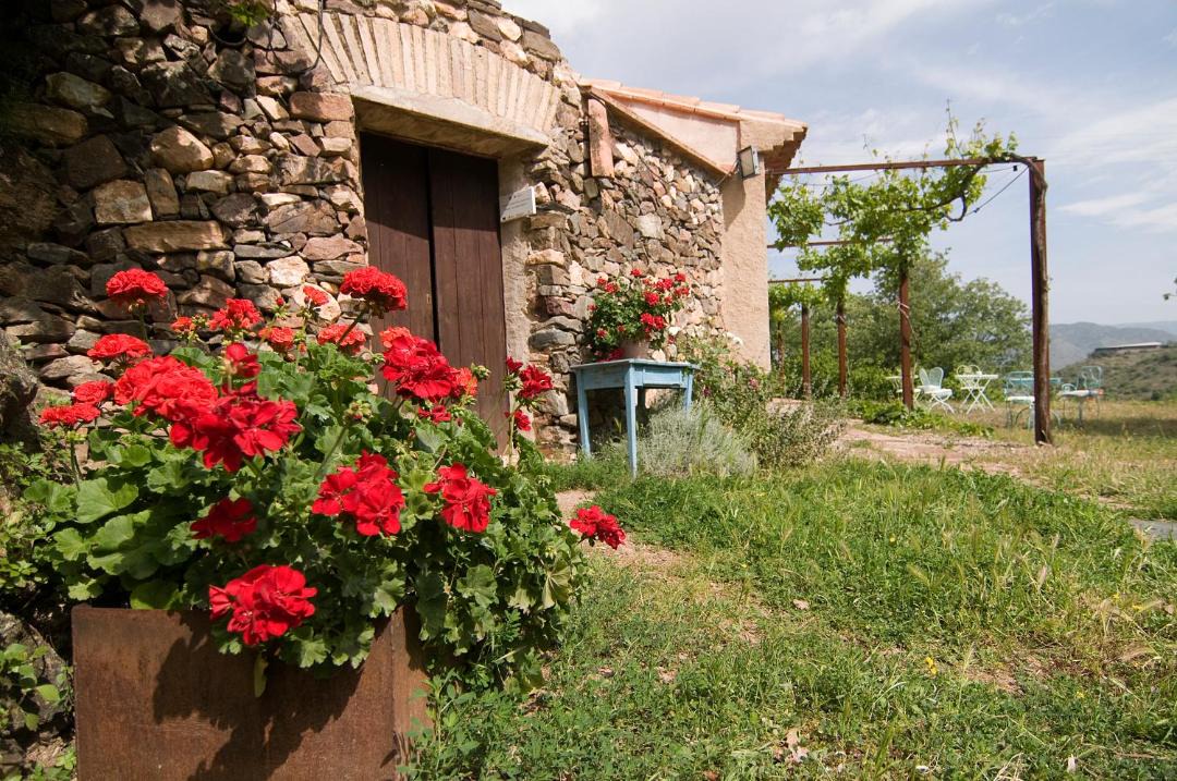 Photo of Buildings in Falset