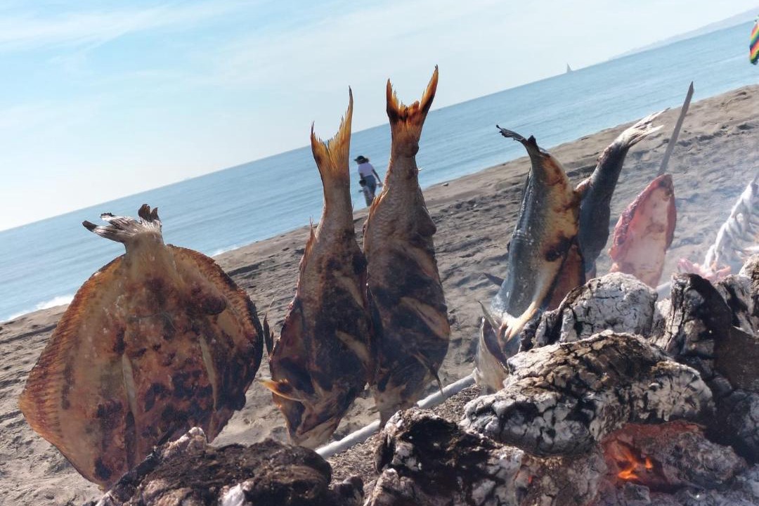 Photo of Others in Playas del Palo