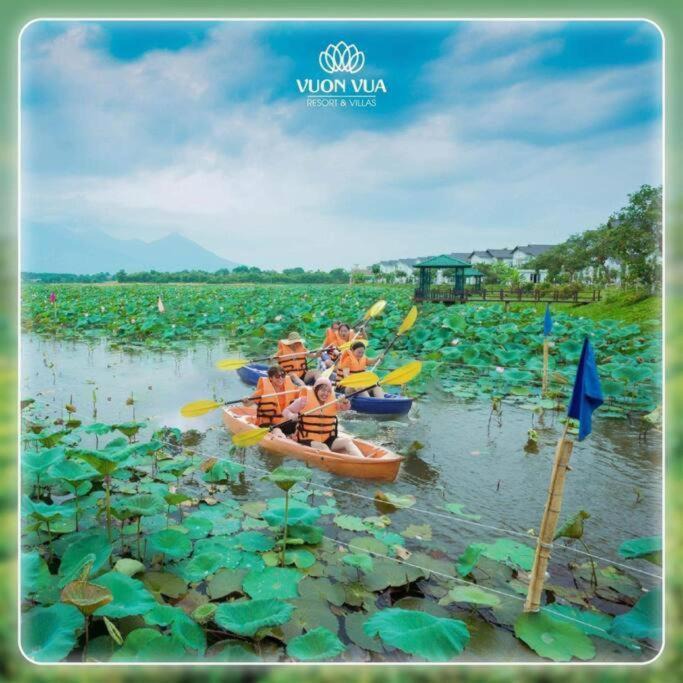 Photo of Others in Thanh Thuy