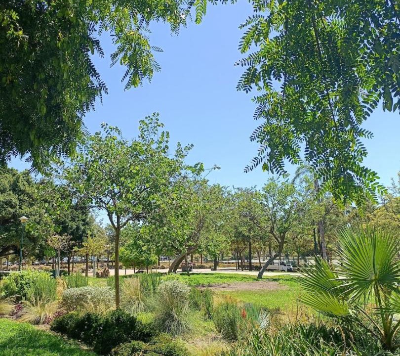 Photo of Others in Parque Ayala