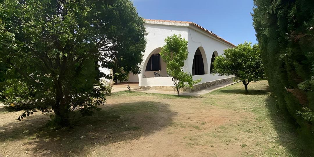 Photo of Others in Alcossebre