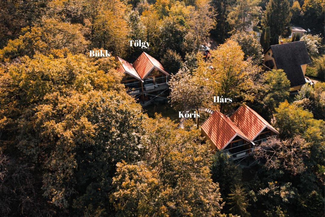 Photo of Others in Szentendrei
