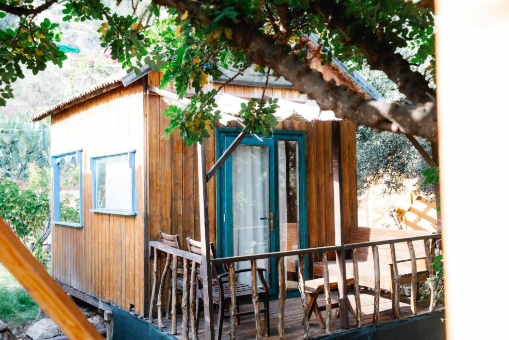 Photo of Others in Kabak Valley
