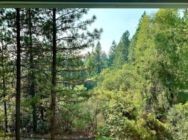 Photo of Others in Apple Hill