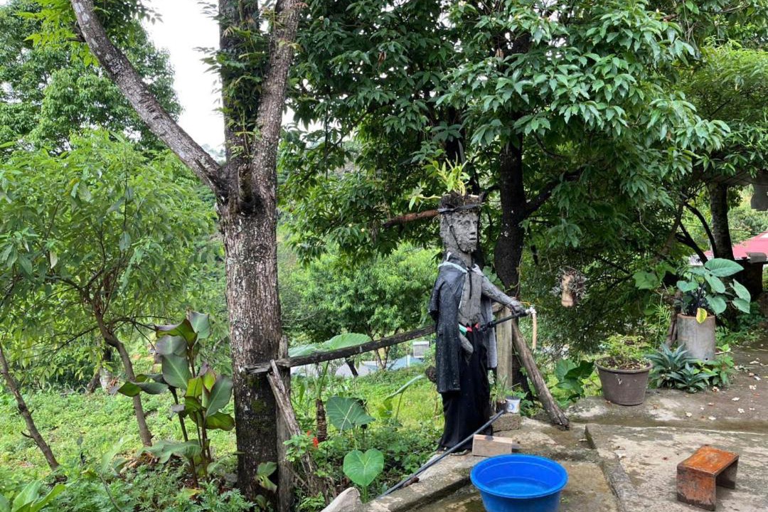 Photo of Others in Phong Tho