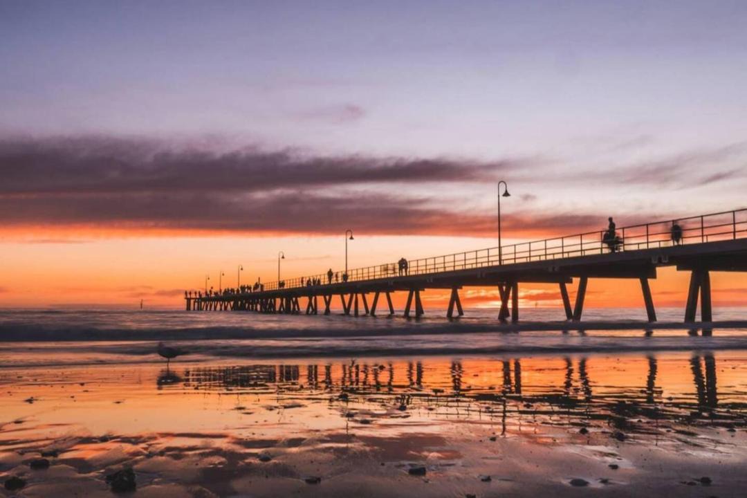 Photo of Others in Glenelg